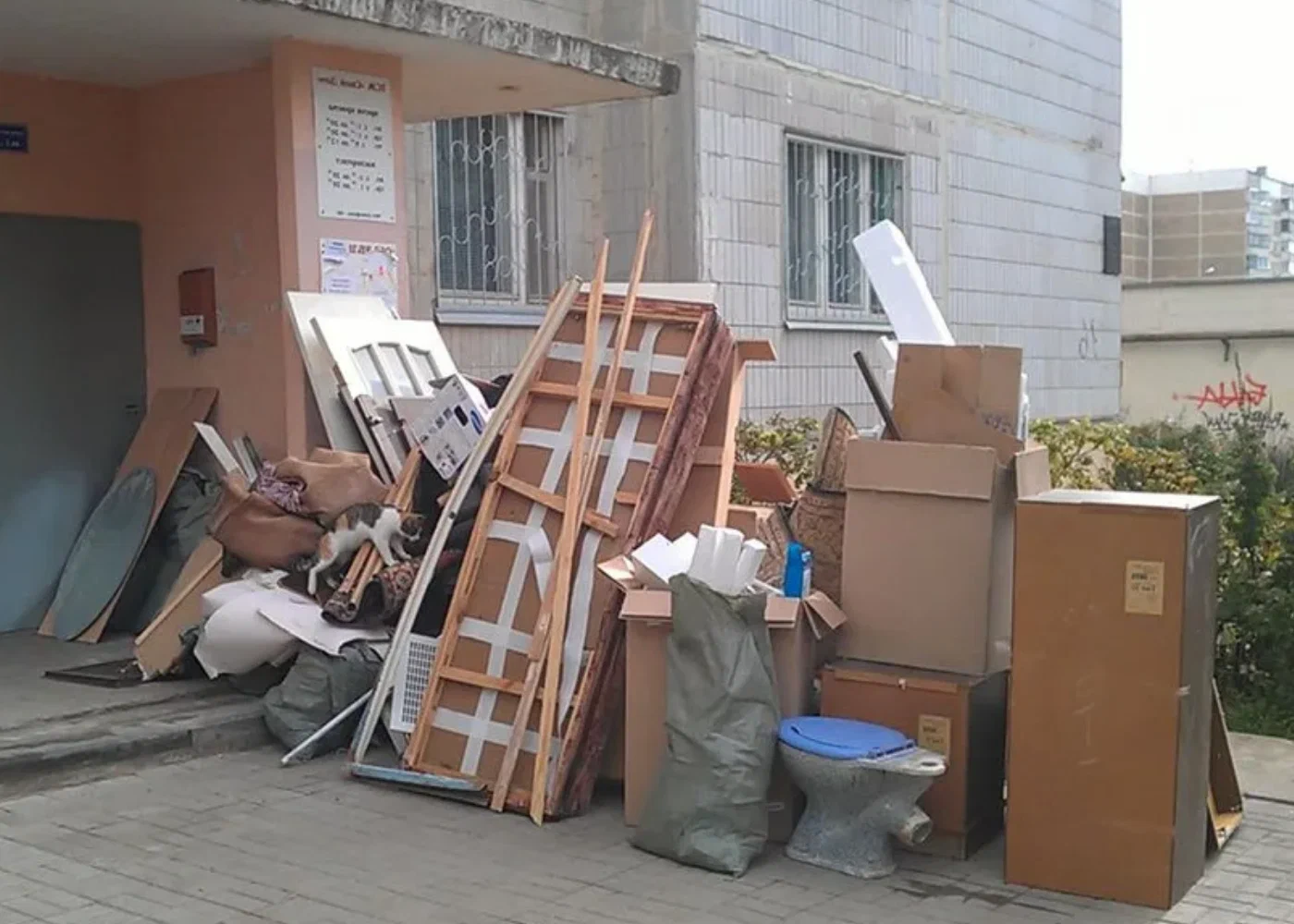 Профессиональный вывоз мусора из квартиры в Химках в октябре