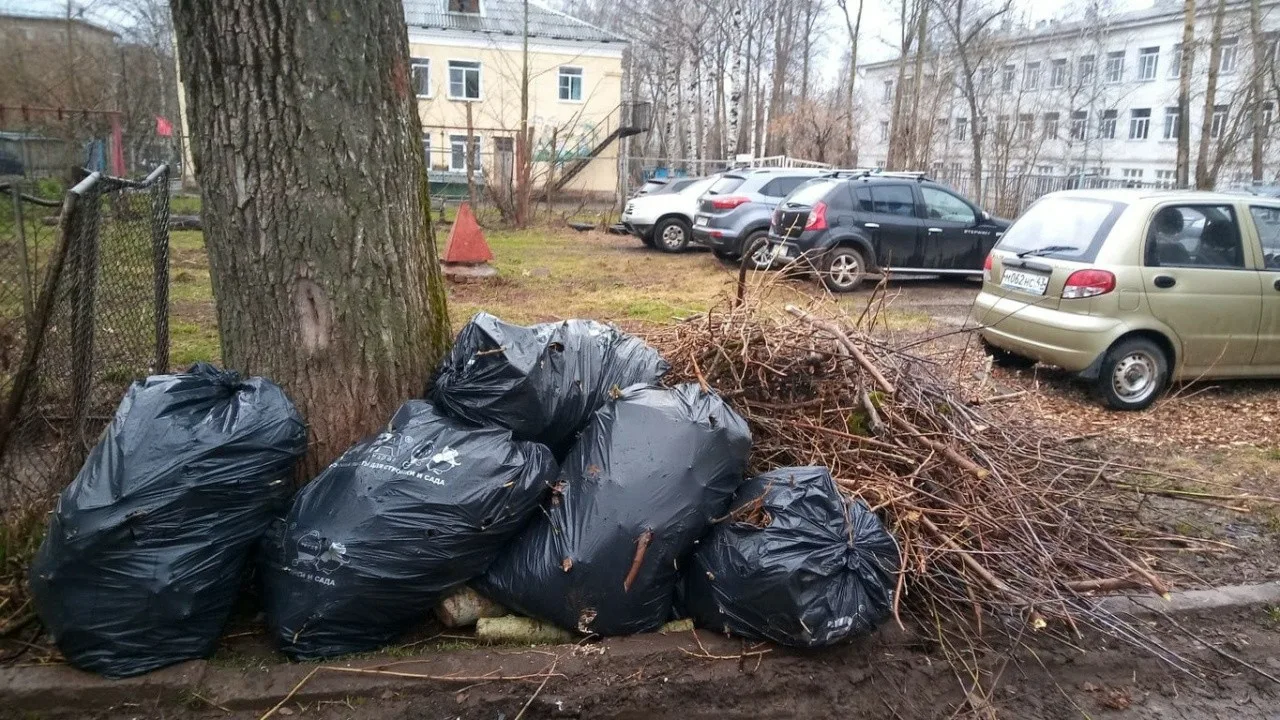 Вывоз мусора после субботника в Химках от ПроМусор – уборка и утилизация отходов от 2436 руб