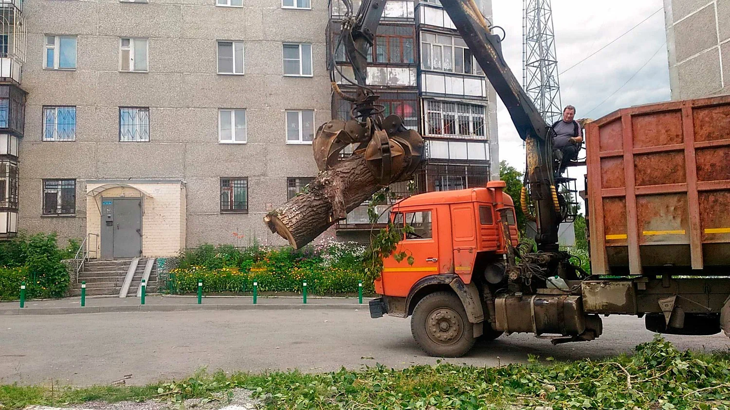 Вывоз спиленных веток и деревьев в Химках от ПроМусор: порубочные остатки, утилизация, цена от 3006 руб