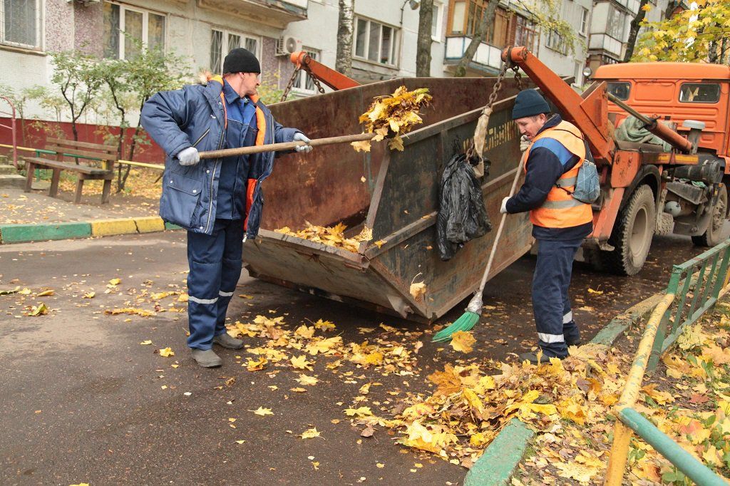 Вывоз опавшей листвы и растительного мусора в Химках от ПроМусор – цена от 4665 руб., быстрая уборка и утилизация